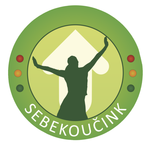 Sebekoučink